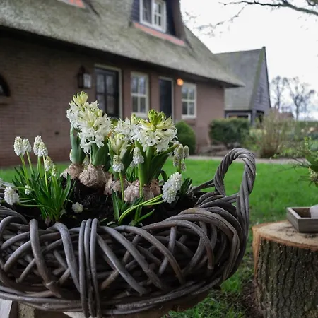 't Rheebokje Bed & Breakfast *