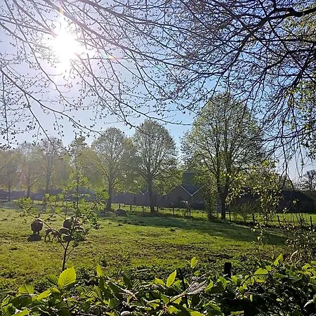't Rheebokje Uddel