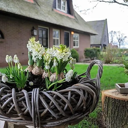Bed & Breakfast 't Rheebokje Uddel