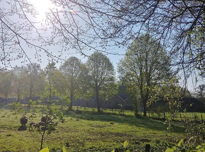 Bed & Breakfast 't Rheebokje 3*