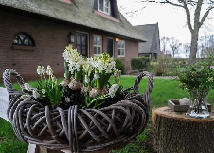 't Rheebokje Bed & Breakfast 3*